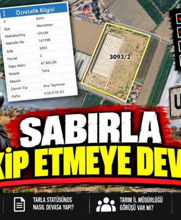 ULUCAK