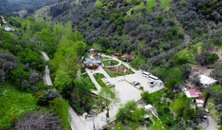 ERMAN UZUN NİYETİNİZ ORMAN YANGINI ÇIKARTMAK MI?