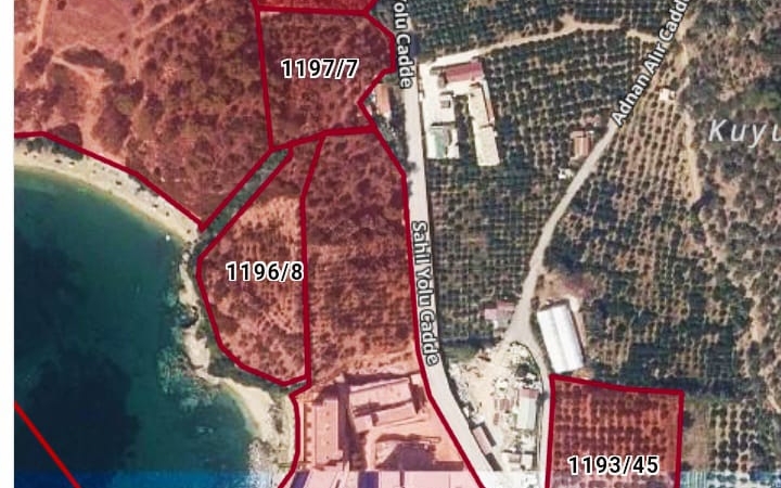 HAYIRDIR YANGINDAN RANT MI KAÇIRIYORSUNUZ?