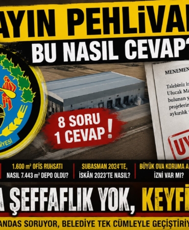 pehlivan
