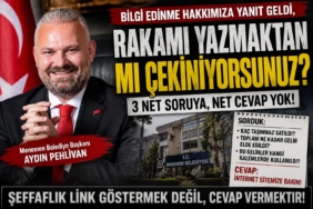 pehlivan