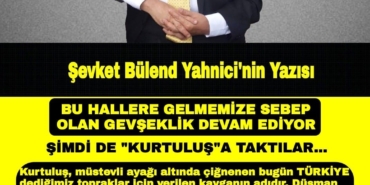 şy