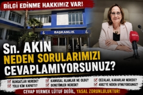 ayşe hn