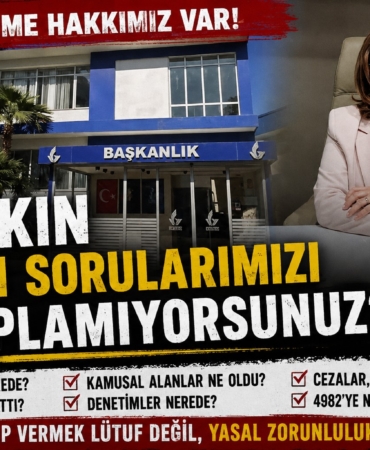 ayşe hn