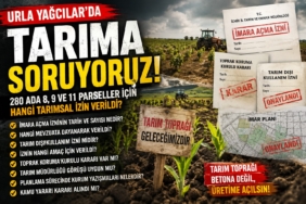 tarım