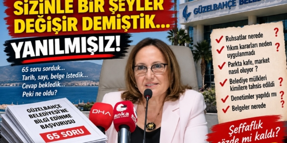 ayşe hanım