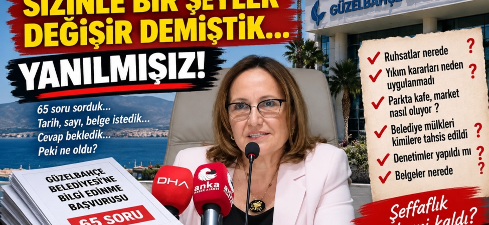 ayşe hanım