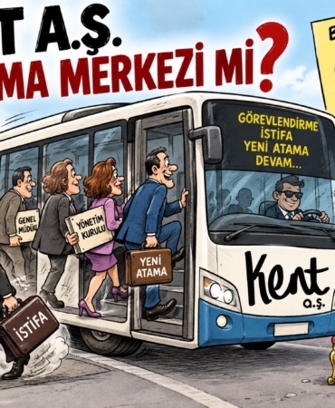 koltuk